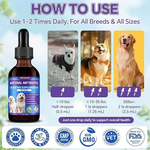 Dog Antibiotics Support - Natural Antibiotics Care for Dogs Herbal Supplement for Cough Allergy Itch Relief Immune Support Dog UTI Comfort for All Breeds & Ages - 60 ml/2 Fl Oz Bacon Flavor - Image 4