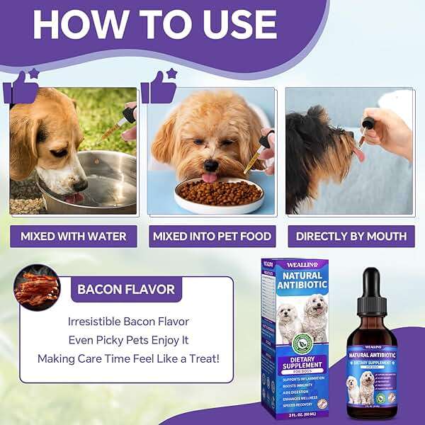 Dog Antibiotics Support - Natural Antibiotics Care for Dogs Herbal Supplement for Cough Allergy Itch Relief Immune Support Dog UTI Comfort for All Breeds & Ages - 60 ml/2 Fl Oz Bacon Flavor - Image 5