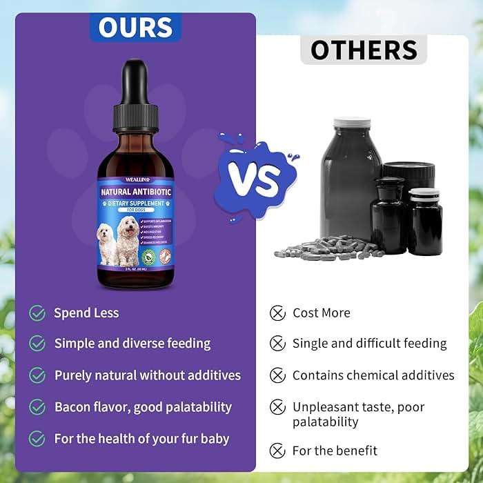 Dog Antibiotics Support - Natural Antibiotics Care for Dogs Herbal Supplement for Cough Allergy Itch Relief Immune Support Dog UTI Comfort for All Breeds & Ages - 60 ml/2 Fl Oz Bacon Flavor - Image 6