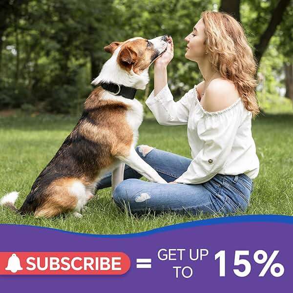 Dog Antibiotics Support - Natural Antibiotics Care for Dogs Herbal Supplement for Cough Allergy Itch Relief Immune Support Dog UTI Comfort for All Breeds & Ages - 60 ml/2 Fl Oz Bacon Flavor - Image 7