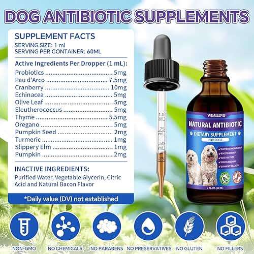 Dog Antibiotics Support - Natural Antibiotics Care for Dogs Herbal Supplement for Cough Allergy Itch Relief Immune Support Dog UTI Comfort for All Breeds & Ages - 60 ml/2 Fl Oz Bacon Flavor - Image 8