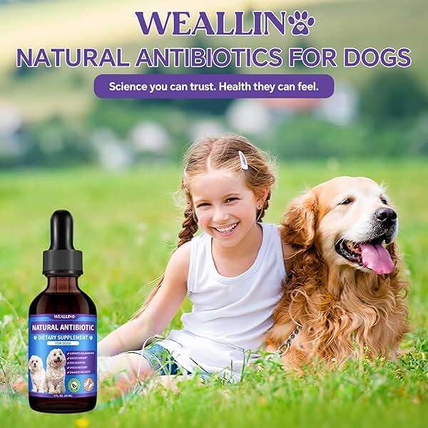 Dog Antibiotics Support - Natural Antibiotics Care for Dogs Herbal Supplement for Cough Allergy Itch Relief Immune Support Dog UTI Comfort for All Breeds & Ages - 60 ml/2 Fl Oz Bacon Flavor - Image 9