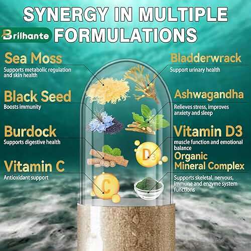 Irish sea moss capsules,organic sea moss supplement for energy and fatigue,seamoss black seed oil ashwagandha burdock root organic Mineral Complex for Gut health, skin, and joints - 150 Count - Image 2