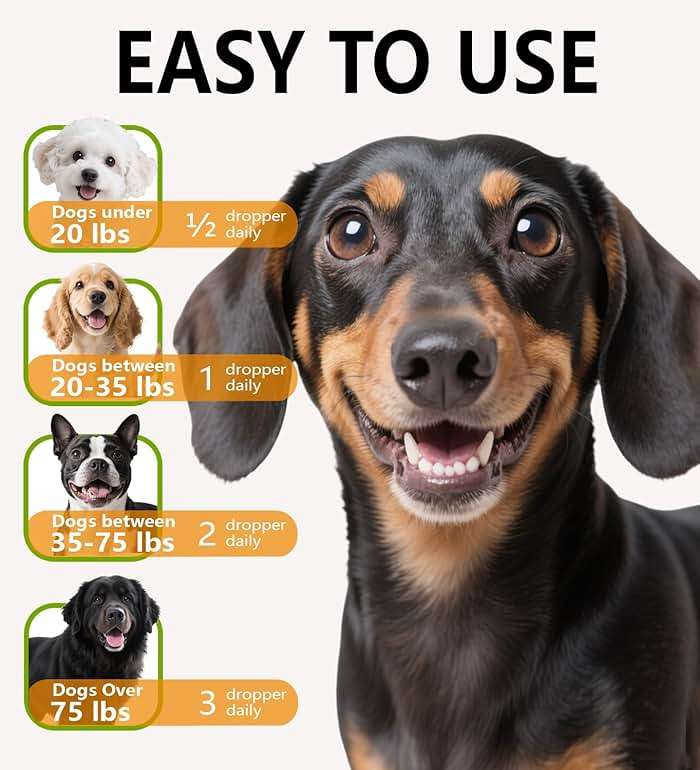 Yeast Infection Treatment for Dogs, Naturally Dog Healthy Itch Relief, Ear Infection Treatment, Dogs Allergy Relief, Inflammation Relief & Allergy Relief More, 2 fl oz - Image 4