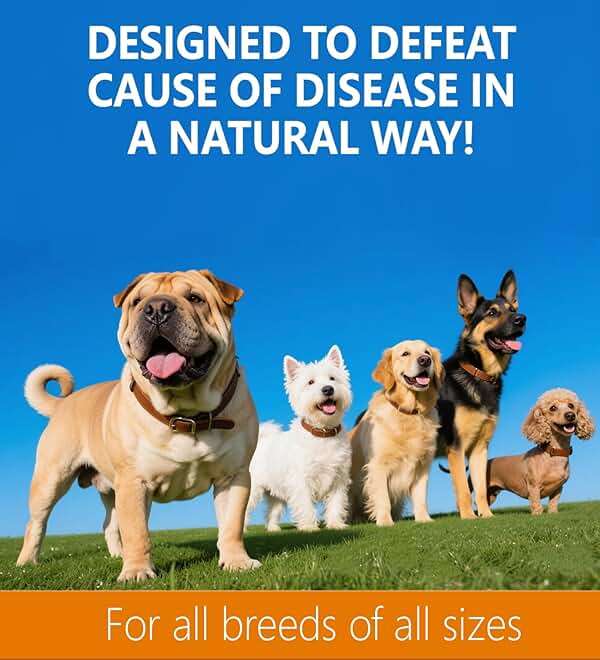 Yeast Infection Treatment for Dogs, Naturally Dog Healthy Itch Relief, Ear Infection Treatment, Dogs Allergy Relief, Inflammation Relief & Allergy Relief More, 2 fl oz - Image 7