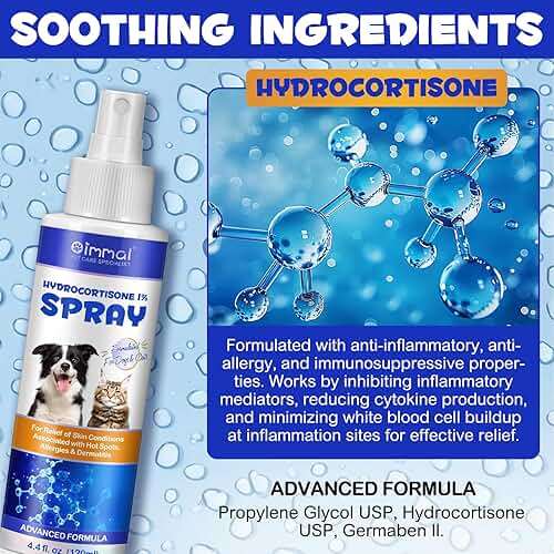ALIVO Hydrocortisone Spray for Dogs & Cats - Itch Relief Spray & Hot Spot Treatment for Dogs, Supports Irritated Dry Itchy Skin & Skin Allergies, Skin Infections & Irritations Relief - 120ml / 4 oz - Image 2
