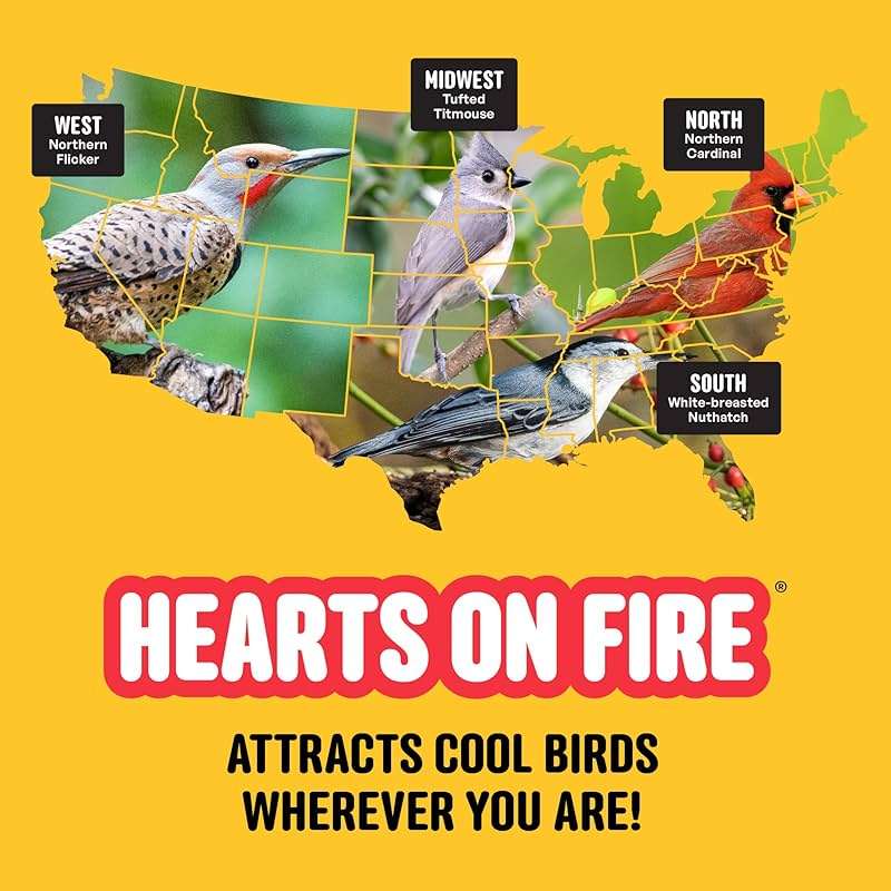 Cool Birds Hearts on Fire Hot Bird Seed – 10 lb. 100% Hulled Sunflower Hearts with Chili Pepper Oil – No Waste Bird Seed for Outside Feeders - Image 11