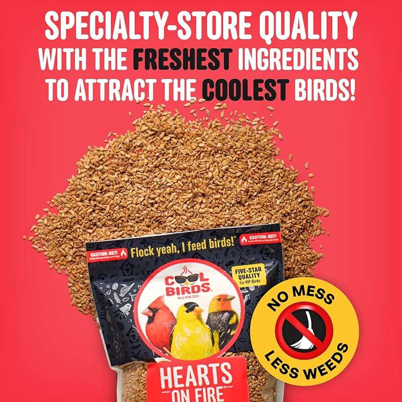 Cool Birds Hearts on Fire Hot Bird Seed – 10 lb. 100% Hulled Sunflower Hearts with Chili Pepper Oil – No Waste Bird Seed for Outside Feeders - Image 4