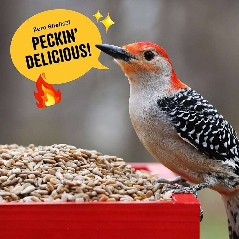 Cool Birds Hearts on Fire Hot Bird Seed – 10 lb. 100% Hulled Sunflower Hearts with Chili Pepper Oil – No Waste Bird Seed for Outside Feeders - Image 7