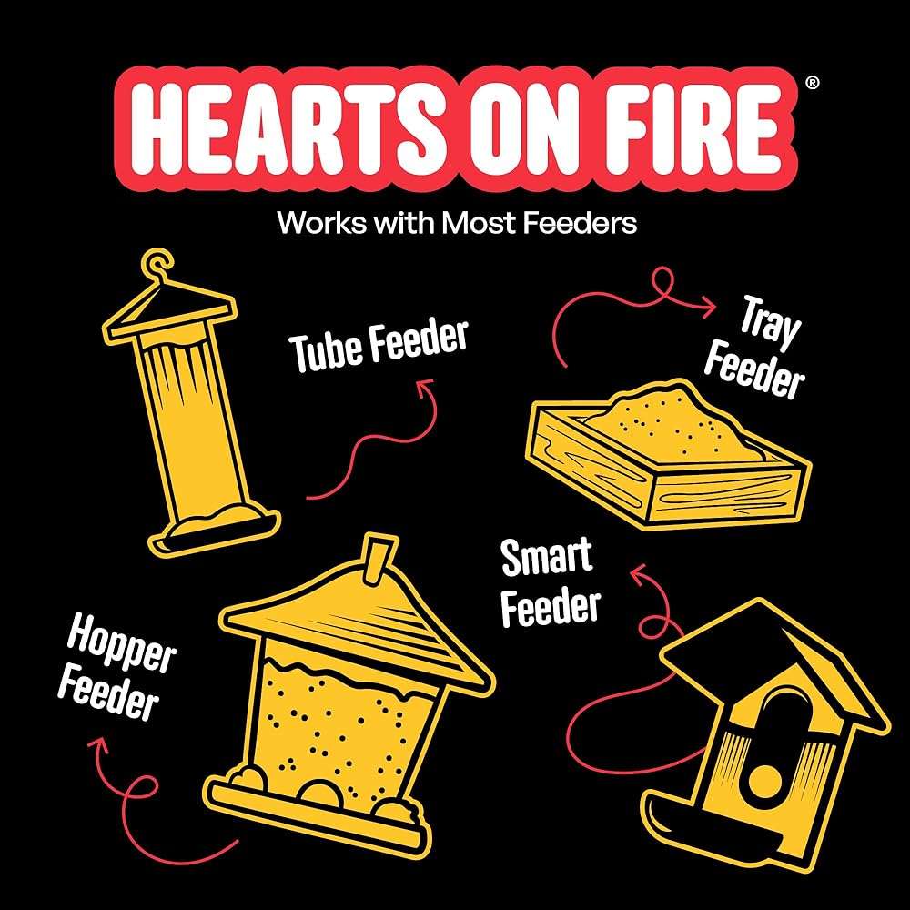Cool Birds Hearts on Fire Hot Bird Seed – 10 lb. 100% Hulled Sunflower Hearts with Chili Pepper Oil – No Waste Bird Seed for Outside Feeders - Image 10