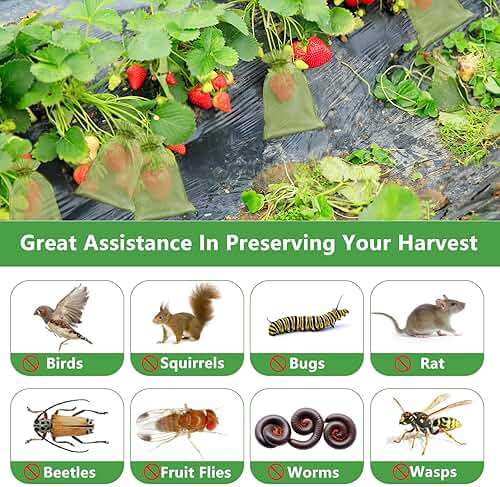YIChongDan 100pcs Fruit Protection Cover Bags 4x6 inch Fruit Netting - Drawstring Mesh Protectors Bags Pest Barrier for Strawberry Blueberry Small Fruit Vegetables - Image 3