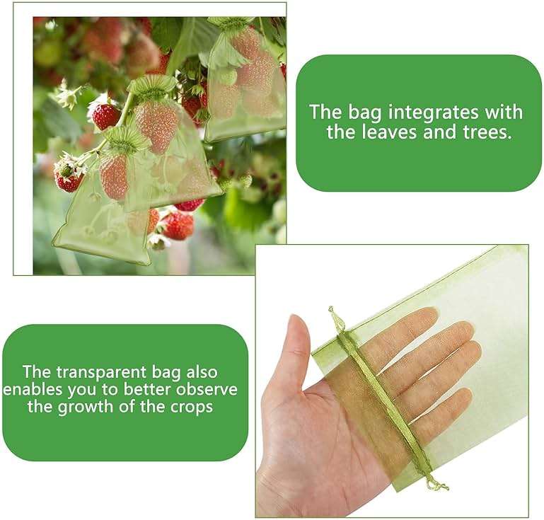 YIChongDan 100pcs Fruit Protection Cover Bags 4x6 inch Fruit Netting - Drawstring Mesh Protectors Bags Pest Barrier for Strawberry Blueberry Small Fruit Vegetables - Image 6
