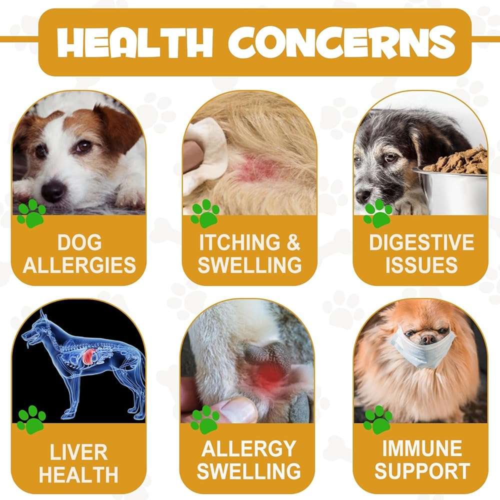 Allergy Relief Drops for Dogs,Allergy and Immune,Immune Support Supplement,Dog Supplement,Natural Pet Supplement for Dog Allergy Relief with Turmeric & Milk Thistle - Image 5