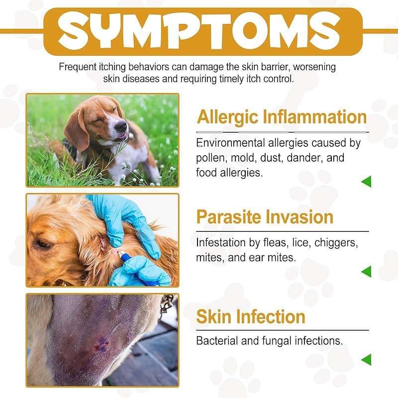 Allergy Relief Drops for Dogs,Allergy and Immune,Immune Support Supplement,Dog Supplement,Natural Pet Supplement for Dog Allergy Relief with Turmeric & Milk Thistle - Image 9