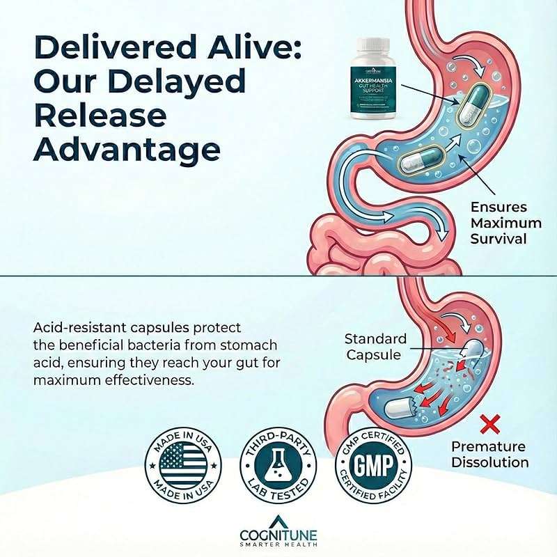 CogniTune Probiotic with 5 Billion AFU Akkermansia Muciniphila - Supports Gut Health with 30 Billion CFU and Prebiotic Fiber - Delayed Release Capsules - Image 5