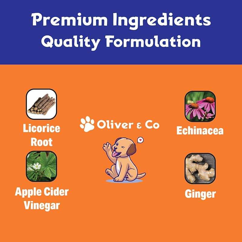 Natural Dog Ear Cleaner and Infection Treatment for Dogs - Dog Drops for Itching, Irritation, & Redness - Ear Infection Treatment for Dogs - 1 fl oz - Bacon Flavor - Image 4