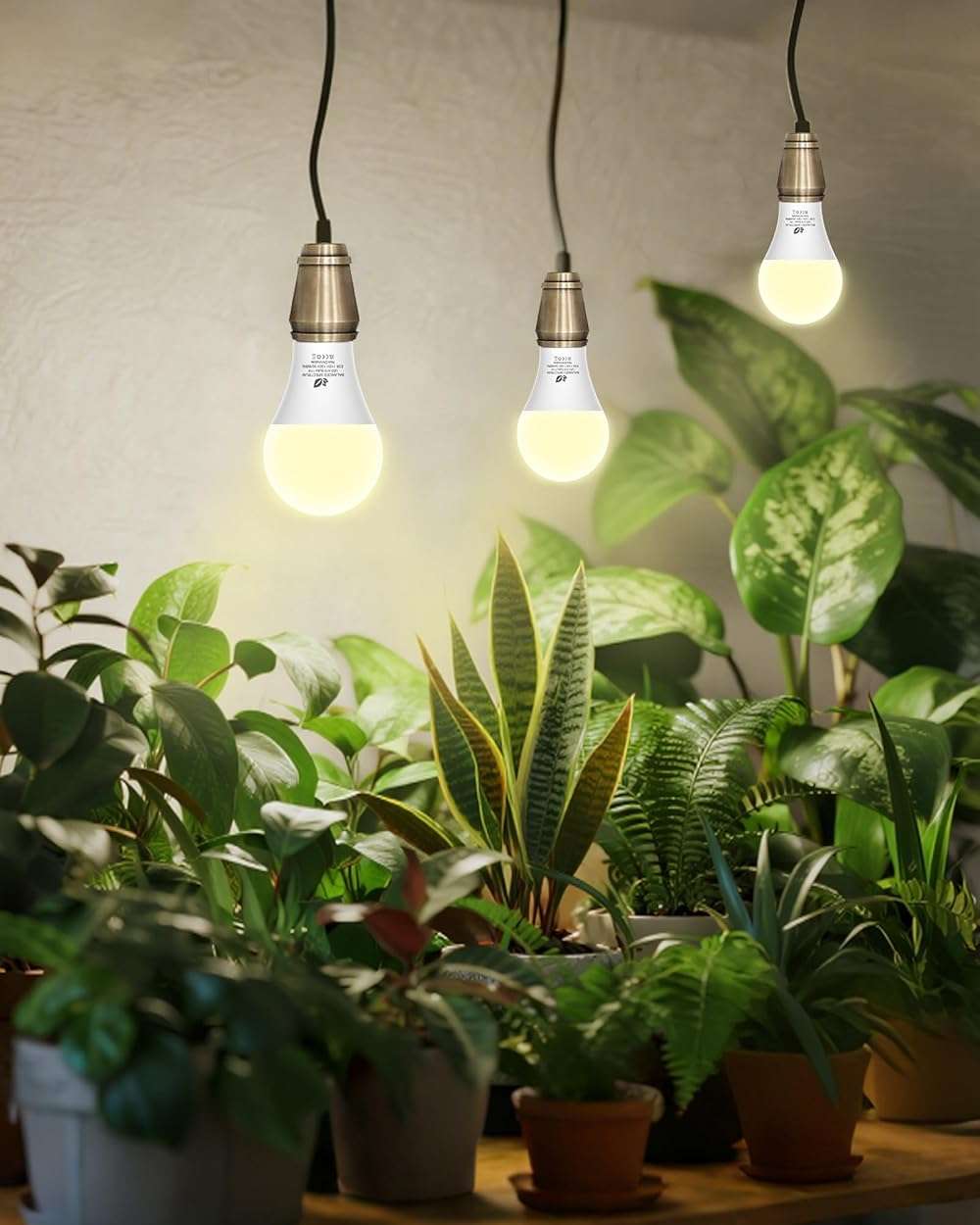 Flaspar Grow Light Bulbs A19 LED, Full Spectrum Plant Light Bulb for Indoor, E26 Base 11W Grow Bulb 100W Equivalent, Plant Lights for Indoor Growing, Flowers, Greenhouse, Seed Starting, 3 Pack - Image 3