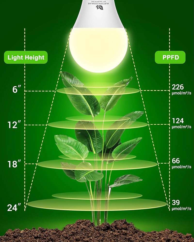 Flaspar Grow Light Bulbs A19 LED, Full Spectrum Plant Light Bulb for Indoor, E26 Base 11W Grow Bulb 100W Equivalent, Plant Lights for Indoor Growing, Flowers, Greenhouse, Seed Starting, 3 Pack - Image 4