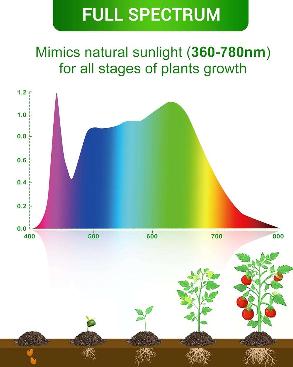 Flaspar Grow Light Bulbs A19 LED, Full Spectrum Plant Light Bulb for Indoor, E26 Base 11W Grow Bulb 100W Equivalent, Plant Lights for Indoor Growing, Flowers, Greenhouse, Seed Starting, 3 Pack - Image 5