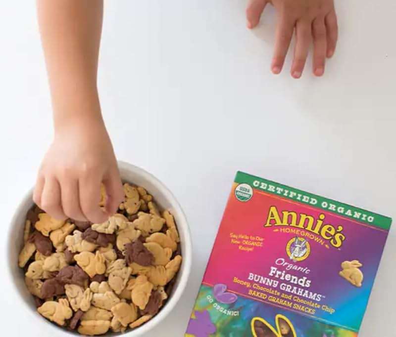Annie's Organic Friends Bunny Grahams - Pack of 20 - Delicious Baked Grahams - Chocolate Chip and Chocolate Honey Flavors - Certified Organic - Image 8