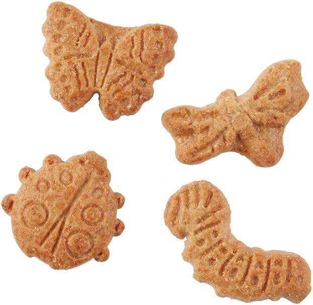 Cinnamon Graham Crackers Bug Bites, Made with Whole Grain, Delicious Snacks for the Whole Family, Stock up and Enjoy them (Pack of 20) - Image 4
