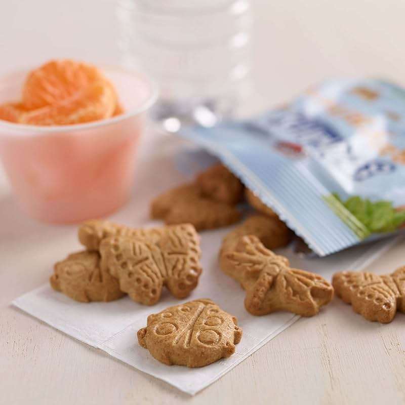 Cinnamon Graham Crackers Bug Bites, Made with Whole Grain, Delicious Snacks for the Whole Family, Stock up and Enjoy them (Pack of 20) - Image 5