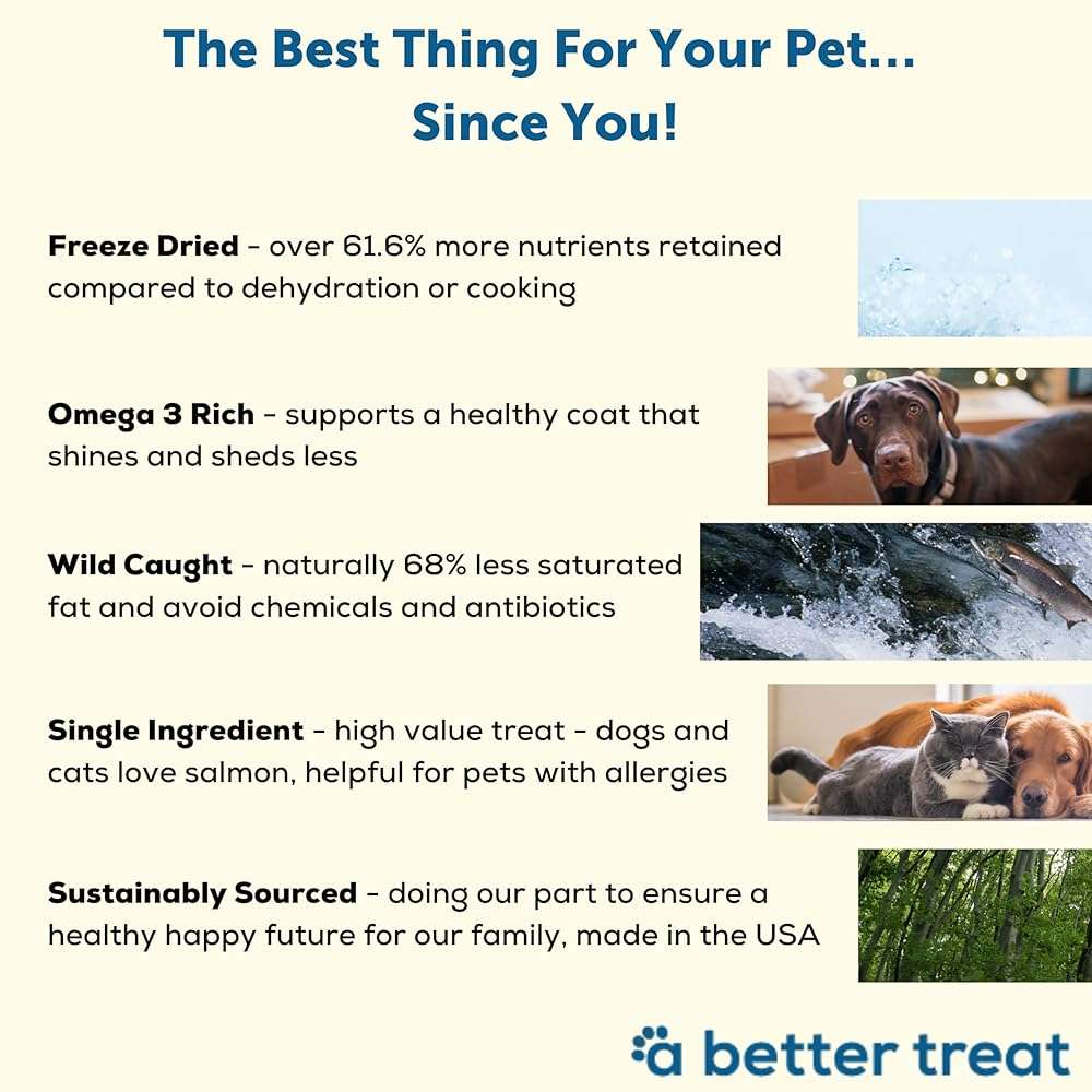 A Better Treat - Freeze Dried Salmon Dog Treats, Wild Caught, Single Ingredient | Natural High Value | Gluten Free, Grain Free, High Protein, Diabetic - Image 3