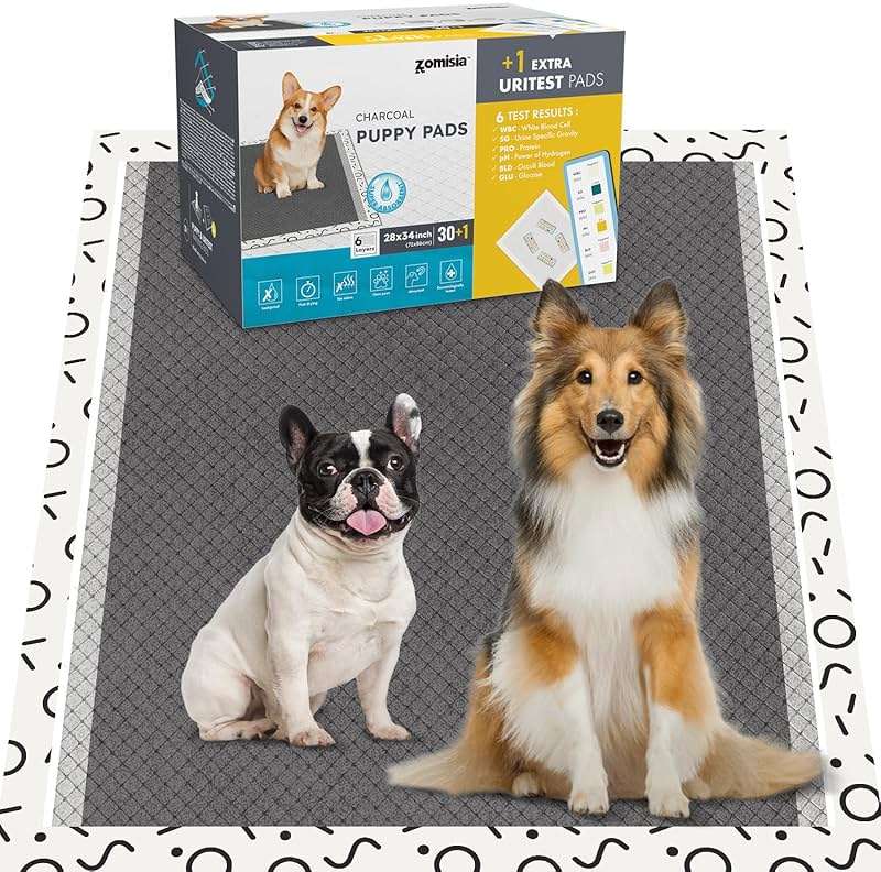 ZOMISIA Charcoal Puppy Pee Pads for Dogs Extra Large, 28"x34" 30 Counts + 1 Extra Health Monitoring Pad - XL Dog Potty Training Pads Disposable, Odor-Control, Super Absorbent & Leak-Proof - Image 1