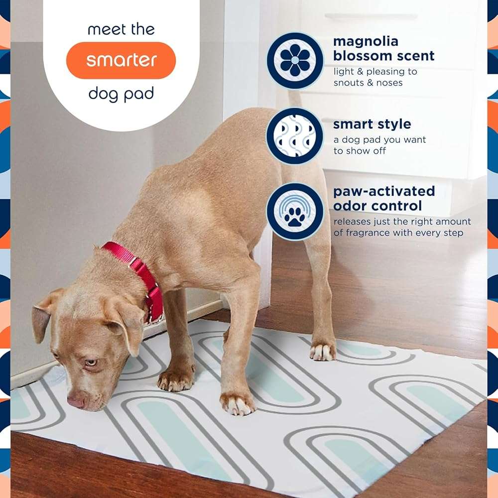 Pet Life Unlimited Smart Prints XL Puppy Pads for Dogs, Potty Training Pee Pads, 26 Count, 26" x 30", Leak-Proof, Super Absorbent, Quick-Dry, Patterned Pads with Odor Control, Made in USA - Image 2