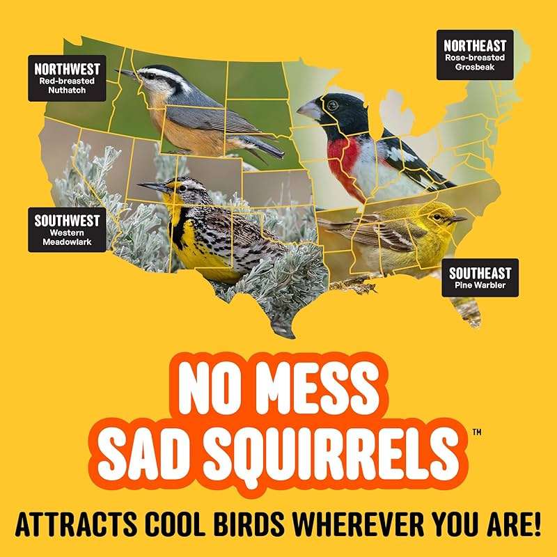 Cool Birds No Mess Sad Squirrels Hot Bird Seed – 10 lb. Spicy Shell-Free Blend with Peanuts, Sunflower Hearts & Chili Pepper Oil – No Waste, Squirrel-Resistant Bird Food for Outside Feeders - Image 11