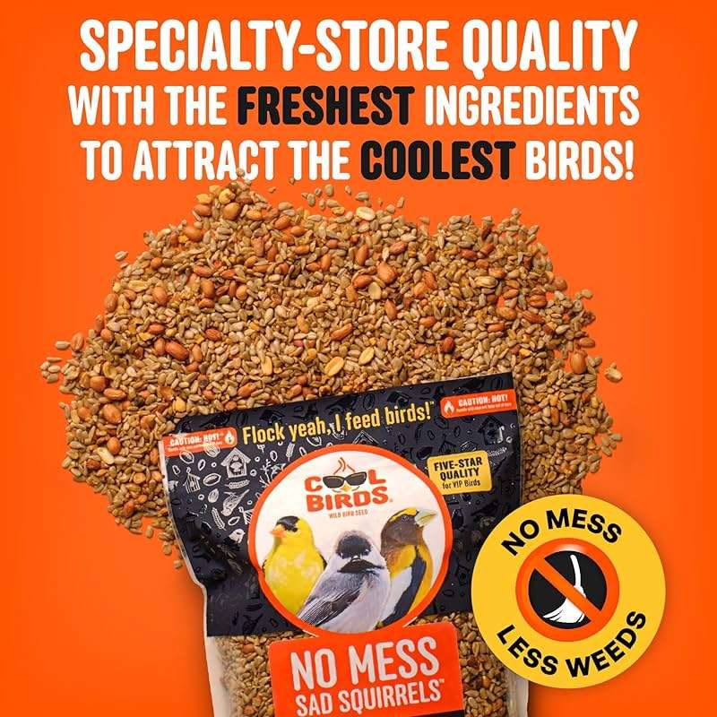 Cool Birds No Mess Sad Squirrels Hot Bird Seed – 10 lb. Spicy Shell-Free Blend with Peanuts, Sunflower Hearts & Chili Pepper Oil – No Waste, Squirrel-Resistant Bird Food for Outside Feeders - Image 3