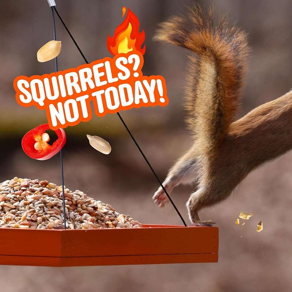 Cool Birds No Mess Sad Squirrels Hot Bird Seed – 10 lb. Spicy Shell-Free Blend with Peanuts, Sunflower Hearts & Chili Pepper Oil – No Waste, Squirrel-Resistant Bird Food for Outside Feeders - Image 7