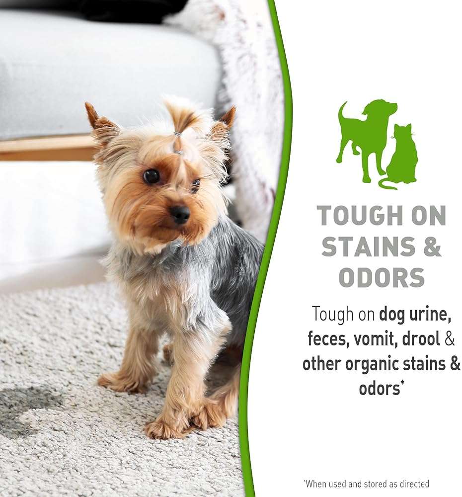 Simply Nature’s Miracle Pet Stain & Odor Remover, 10 Ounces, Bio-Enzymatic Formula With Odor-Neutralizing Technology - Image 3