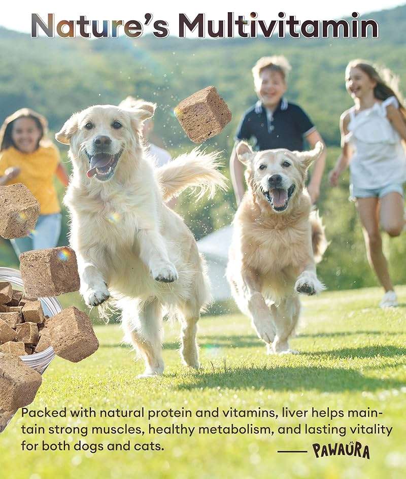 Pawaura Freeze-Dried Beef Liver Treats for Dogs & Cats, Single Ingredient, High-Protein, Grain-Free Natural Pet Snack, Resealable Tub, Ideal for Training or Meal Topper, 3.53oz - Image 6