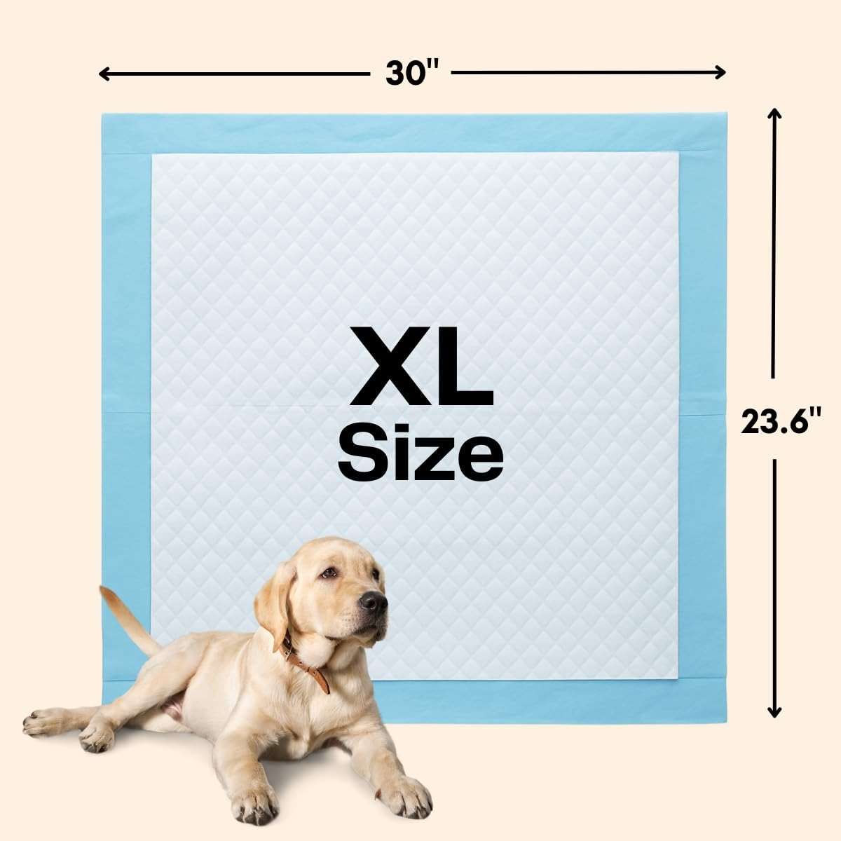 Dog Training Pads 50 Count, Extra Large 30" x 23.6" – 5-Layer Leak-Proof Puppy Pads with Super Absorbent Quick-Dry Top Sheet – Pee Pads for Puppies, Adult Dogs, Senior Dogs & Indoor Potty Training - Image 2