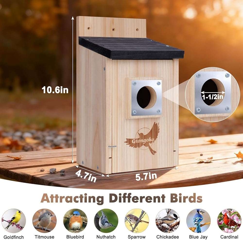 2 Pack Bird Houses for Outside, Bluebird Nesting Box with Metal Predator Guard, 1-1/2" Entrance Hole Wooden Birdhouse Kit for Bluebird Chickadees, Swallows & Finches, Assembly Required - Image 2