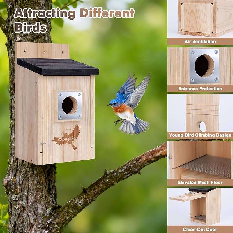 2 Pack Bird Houses for Outside, Bluebird Nesting Box with Metal Predator Guard, 1-1/2" Entrance Hole Wooden Birdhouse Kit for Bluebird Chickadees, Swallows & Finches, Assembly Required - Image 3