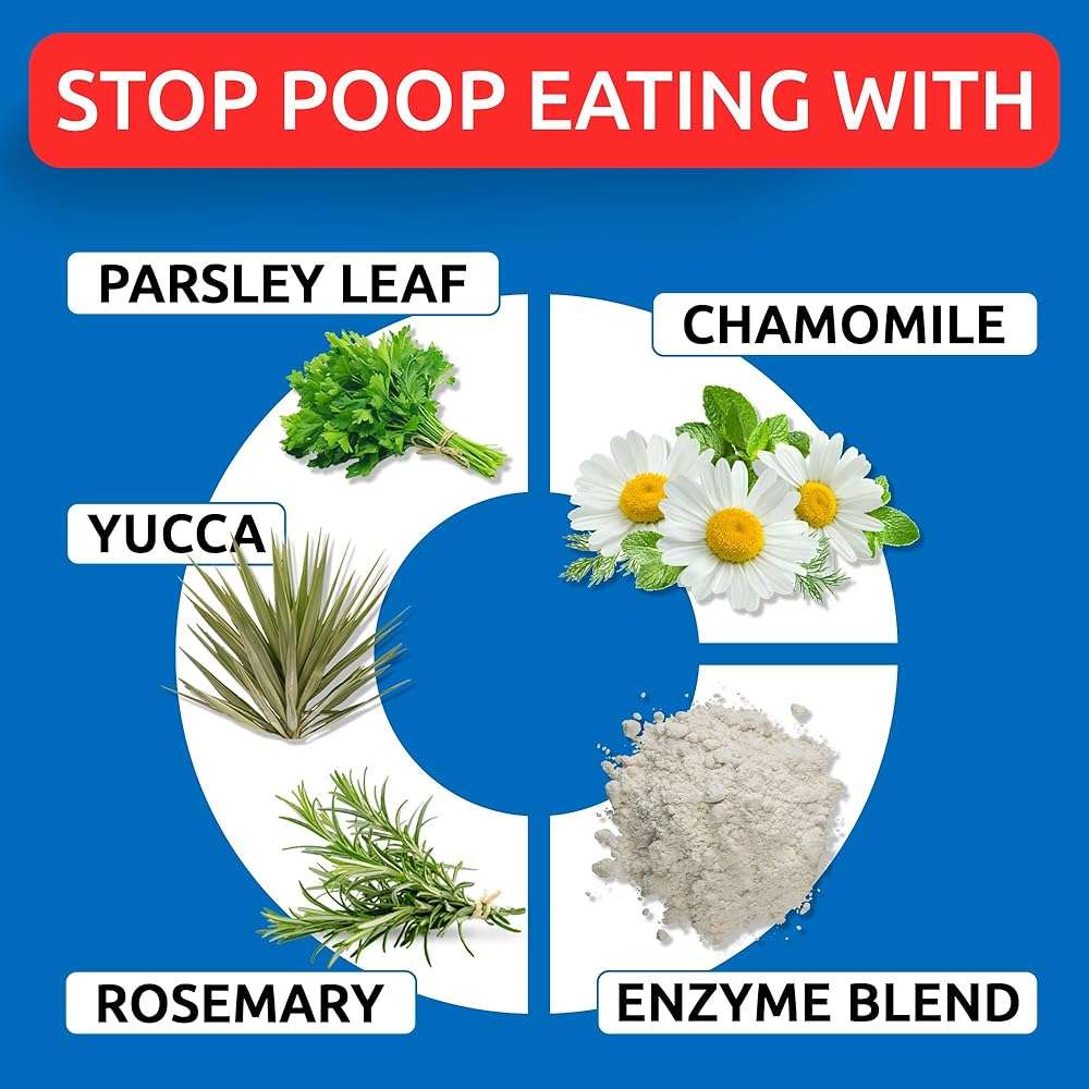 No Poo Chews for Dogs - Coprophagia & Stool Eating Deterrent with Probiotics, Digestive Enzymes & Breath Aid Support - Stop Dog Poop Eating - Made in USA - 120Ct - Image 3