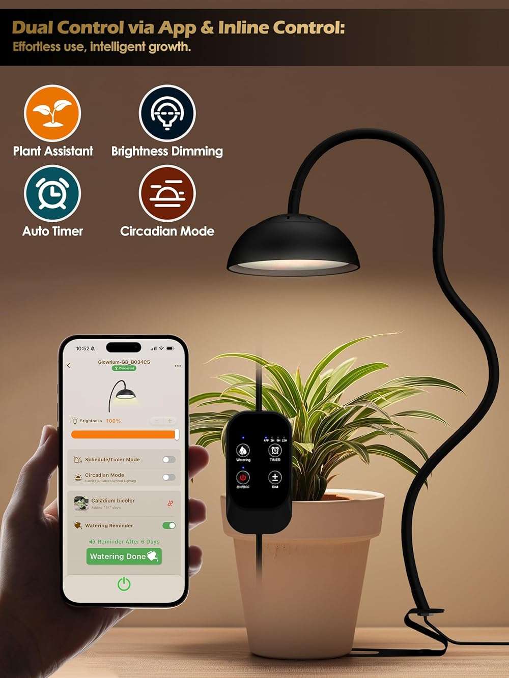 GLOWRIUM Smart Grow Lights for Indoor Plants,10W Full Spectrum LED Plant Light with 3/9/12 Timer,10 Dimmable Levels,Height Adjustable Grow Light with Base (Black) - Image 2