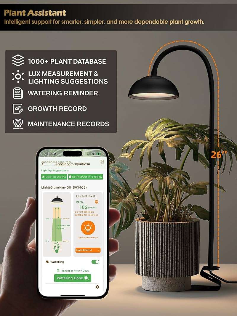 GLOWRIUM Smart Grow Lights for Indoor Plants,10W Full Spectrum LED Plant Light with 3/9/12 Timer,10 Dimmable Levels,Height Adjustable Grow Light with Base (Black) - Image 4