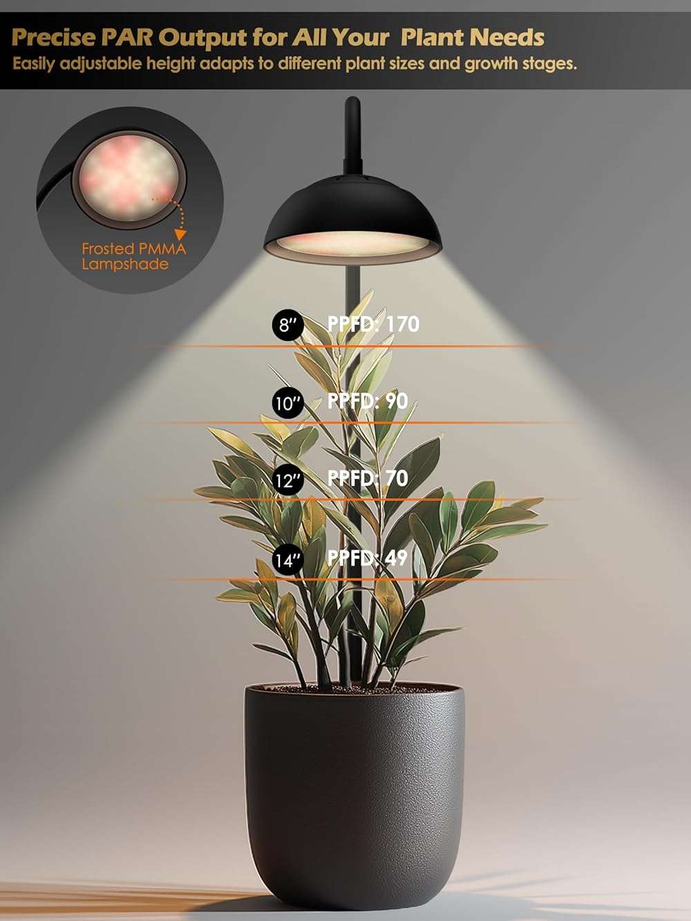GLOWRIUM Smart Grow Lights for Indoor Plants,10W Full Spectrum LED Plant Light with 3/9/12 Timer,10 Dimmable Levels,Height Adjustable Grow Light with Base (Black) - Image 7