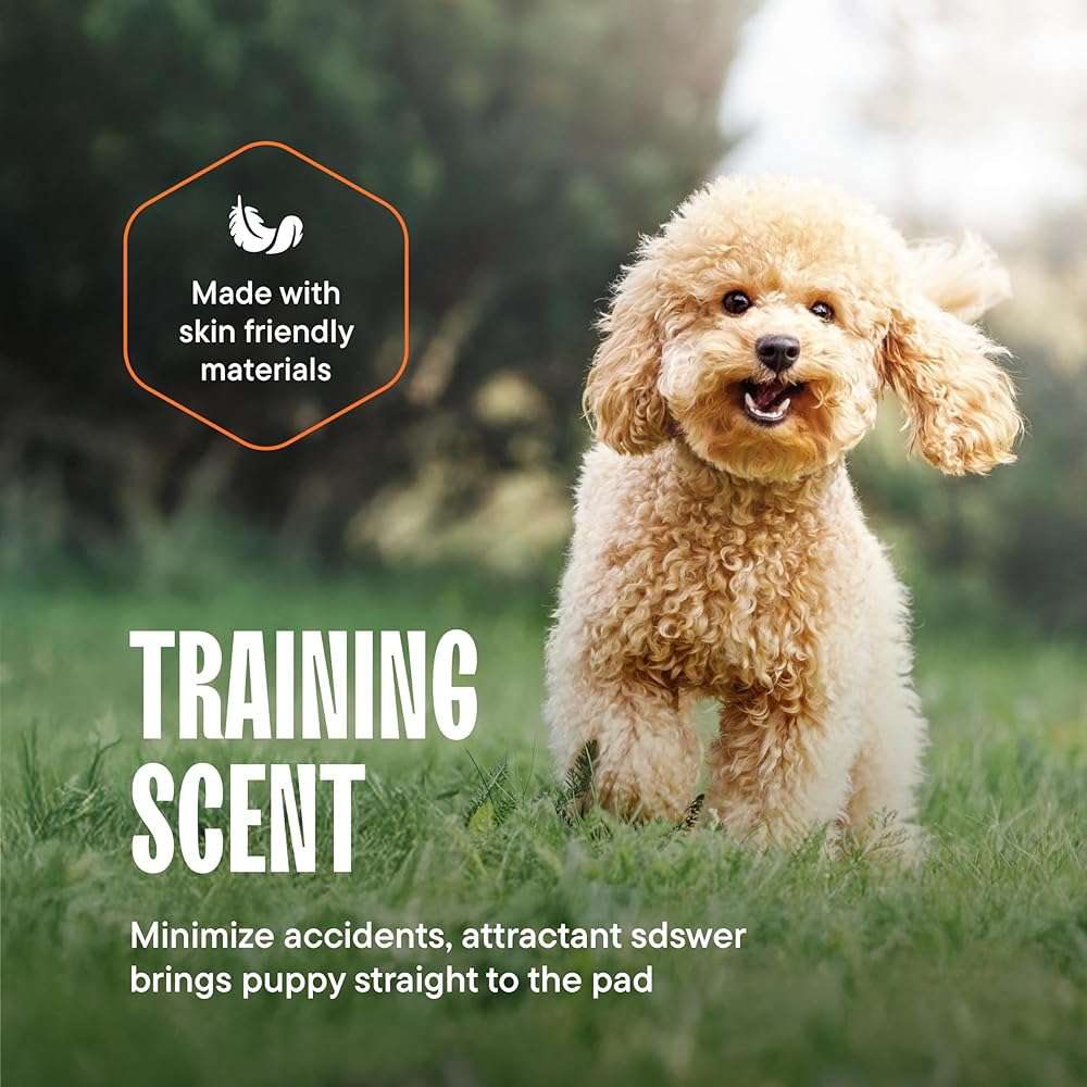 Puppy Pads XL 28x34 [100-COUNT] Dog Pads Extra Large 28" x 34" Leak-Proof Dog Pee Pads - Quick-Dry Puppy Pee Pads Pet Potty Training - Heavy Duty Super Absorbent Wee Wee Pads for Dogs Bulk -100 Pack - Image 5