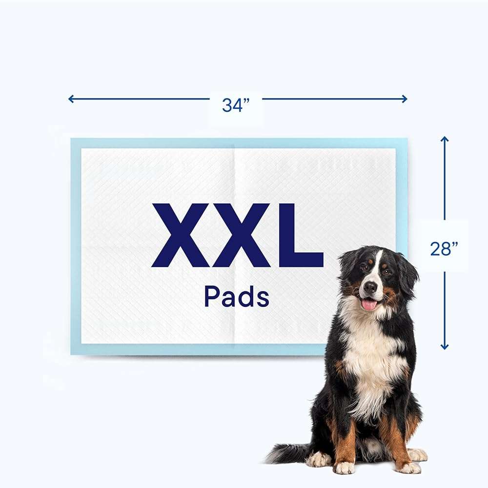 Puppy Pads XL 28x34 [100-COUNT] Dog Pads Extra Large 28" x 34" Leak-Proof Dog Pee Pads - Quick-Dry Puppy Pee Pads Pet Potty Training - Heavy Duty Super Absorbent Wee Wee Pads for Dogs Bulk -100 Pack - Image 7