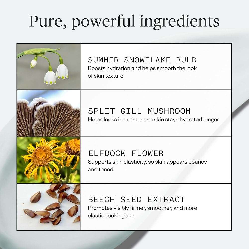 Ursa Major Vital Spring Hydration Mask | Deeply Hydrating Natural Mask| Plumps Skin’s Appearance, Boosts Firmness & Smooths Appearance of Fine Lines | Vegan, Cruelty-Free, Non-Toxic | 1.69 ounce - Image 3