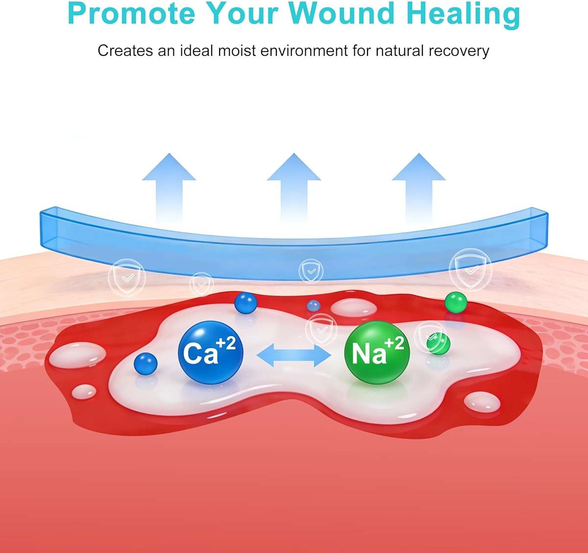 Calcium Alginate Wound Dressing, 2x2 Inch Gauze Pads (7 Count) | Highly Absorbent Gel-Forming Dressing for Exuding Wounds | Non-Adherent - Image 3