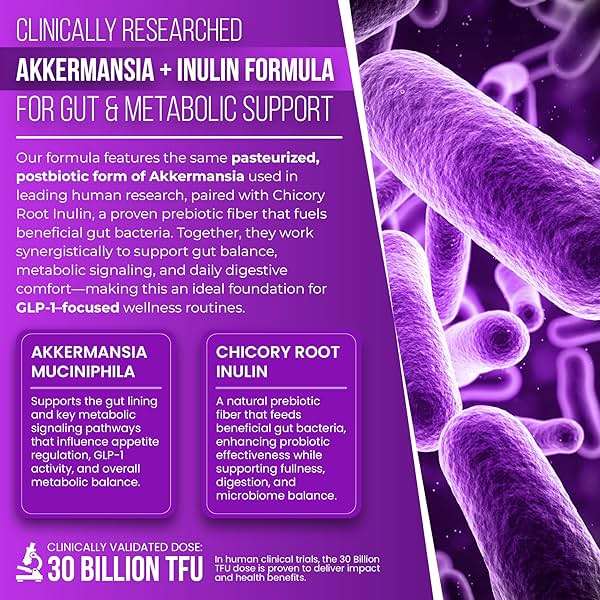 Akkermansia Probiotic with Prebiotic Chicory Inulin for Increased GLP-1 Support, Akkermansia Muciniphila Probiotic Supplement Delayed Release, Gut Health & Digestive Support USA Made (60 Capsules) - Image 7