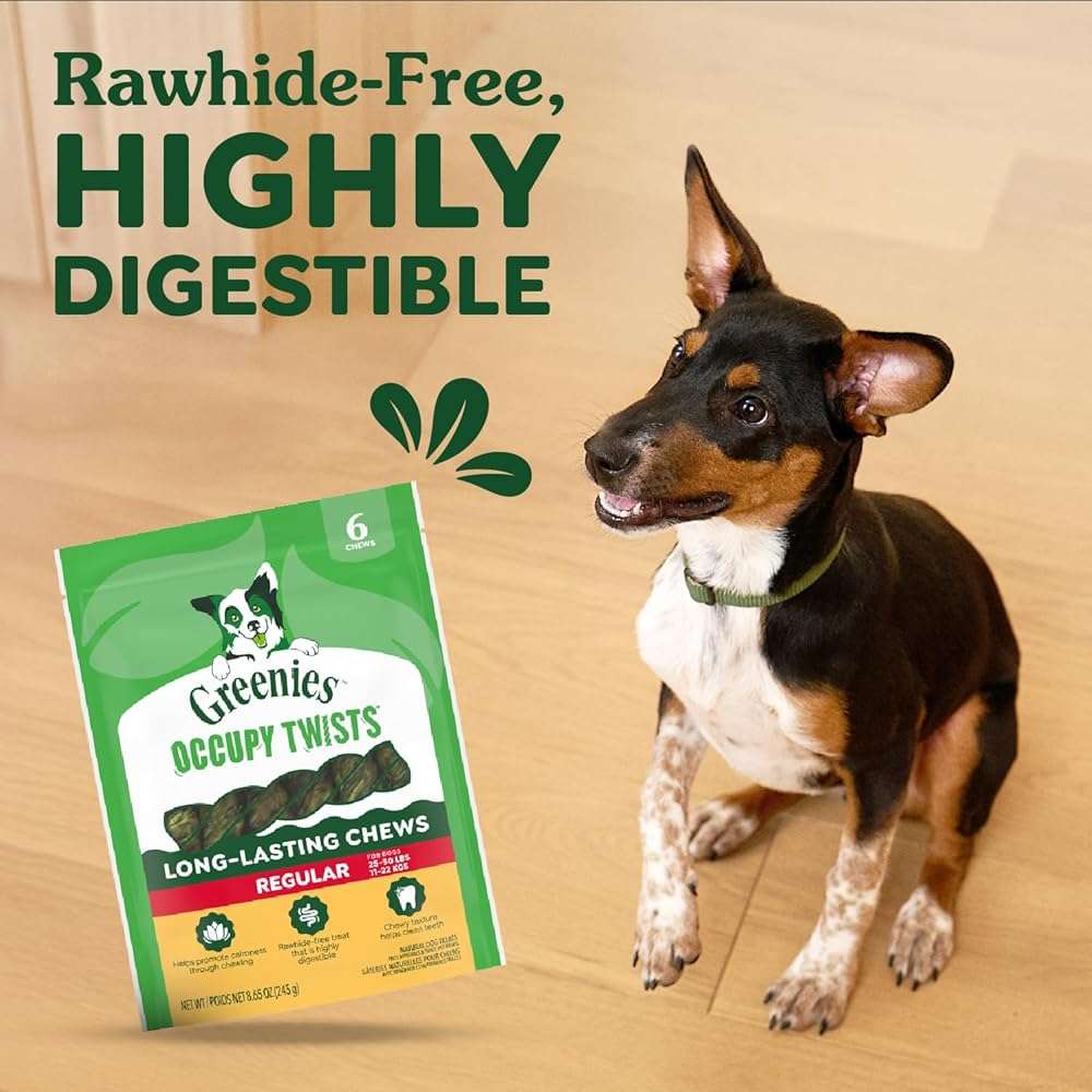 Greenies Occupy Twists Natural Dog Treats Regular Breed Size Chicken Flavor, 8.65 oz. Pack, 6 Count - Image 4