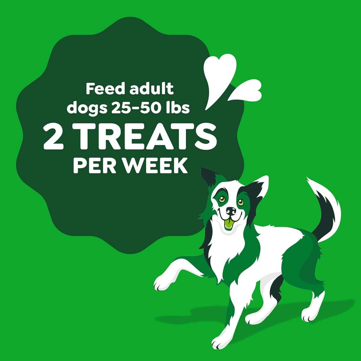 Greenies Occupy Twists Natural Dog Treats Regular Breed Size Chicken Flavor, 8.65 oz. Pack, 6 Count - Image 7