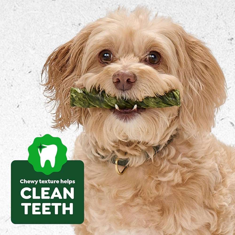 Greenies Occupy Twists Natural Dog Treats Regular Breed Size Chicken Flavor, 8.65 oz. Pack, 6 Count - Image 8
