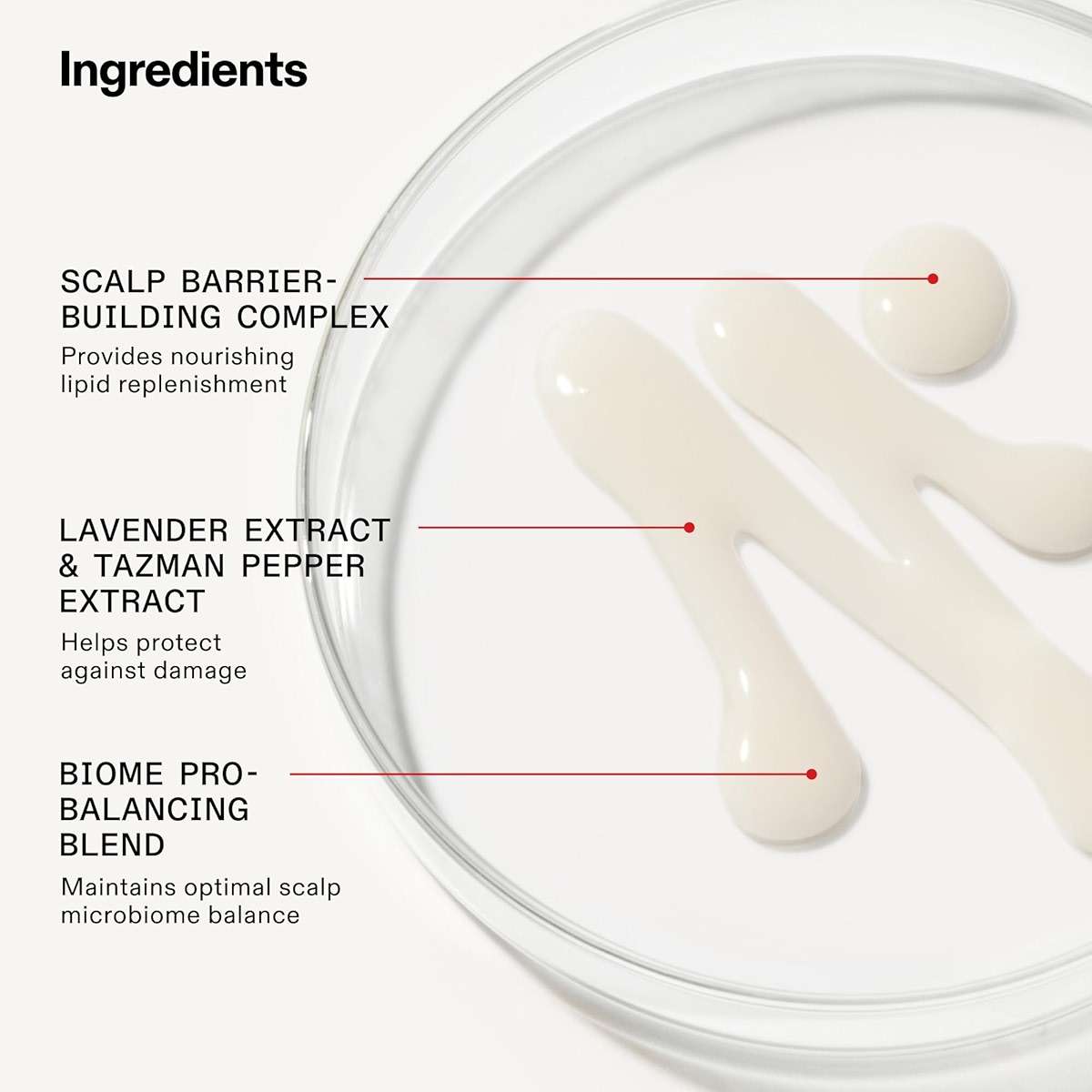 Olaplex Nº. 4 FINE Bond Maintenance Shampoo: Volumize & Strengthen | Gently Cleanse & Non Stripping | For Coily, Curly, Straight, and Wavy - Image 7